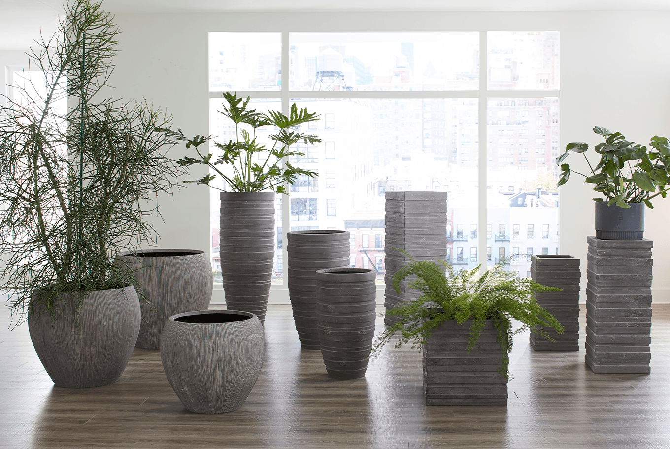 The Phillips Collection Raw Gray Planters are a garden planter with a surface that mimics fabric slathered in gray papier-mâché.