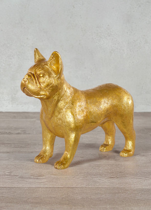 French Bulldog, Gold Leaf