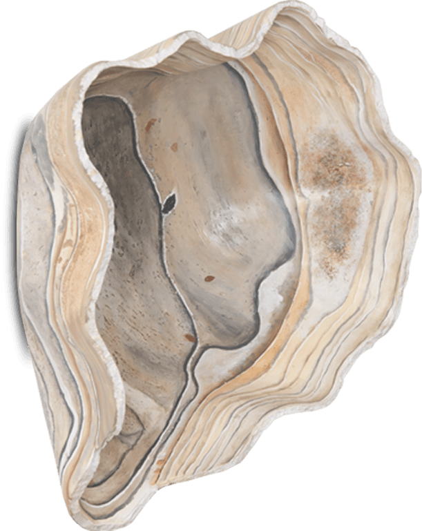The Phillips Collection Cast Onyx Large Faux Finish Wall Sculpture is a fluted decorative sculpture that looks like a hollowed onyx bowl.